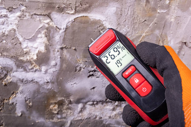 Best Black Mold Removal  in Rancho Tehama Reserve, CA