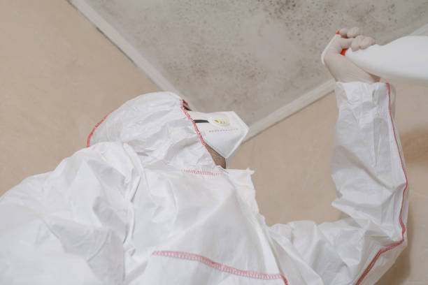 Best Black Mold Removal  in Rancho Tehama Reserve, CA