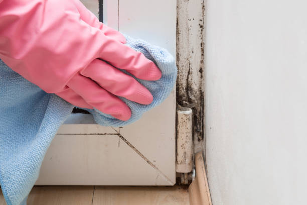 Water Damage Restoration in Rancho Tehama Reserve, CA